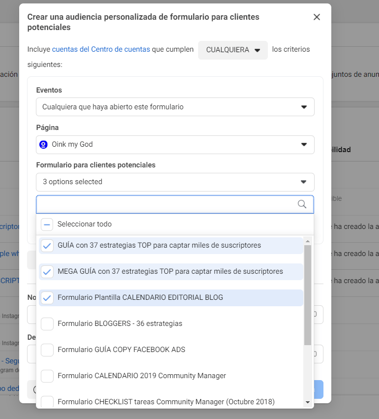audiencia formularios meta ads