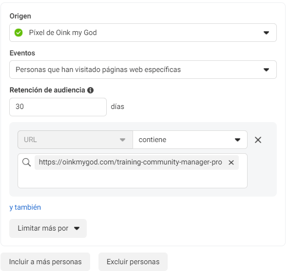 audiencia url especifica meta ads