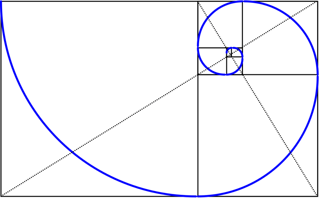 proporcion-aurea-espiral